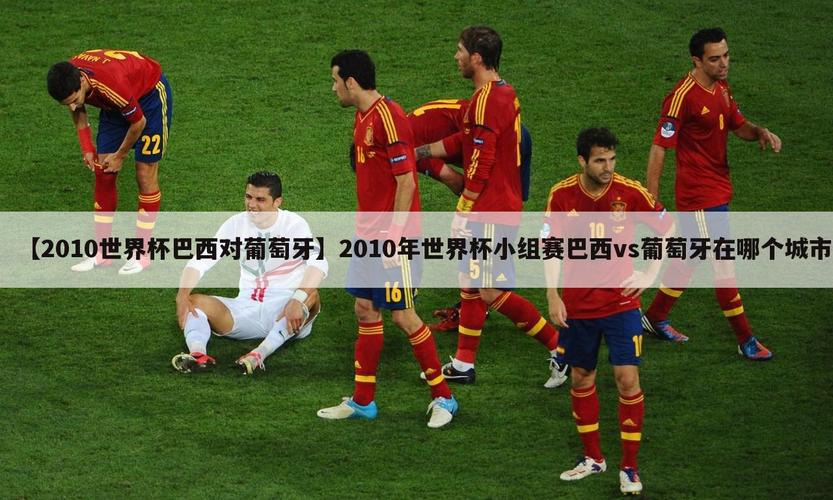 2010年南非世界杯冠军是哪个国家？答案就在这里