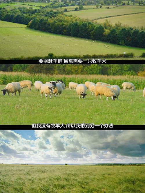 你真的知道克拉克森是哪国人吗？揭开身份神秘面纱