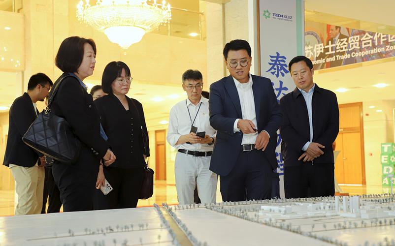 深入了解泰达集团：级别、性质及在天津的地位。