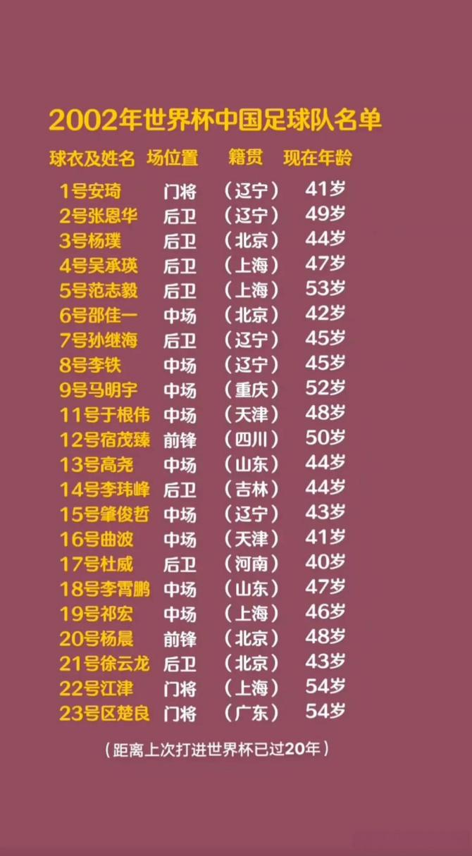 中国队进世界杯是哪一年？2002年韩日世界杯的记忆
