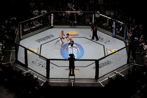 如何在UFC比赛中下注？避开陷阱赢取收益