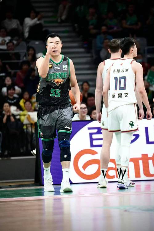 同曦不敌北京首钢：CBA常规赛焦点战惨烈落幕