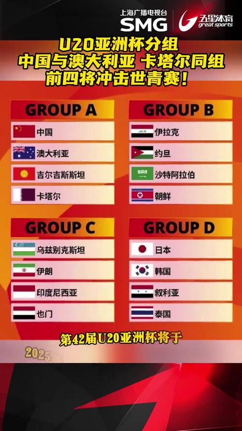 亚洲杯都有哪些国家队？一览亚洲杯全部参赛国家