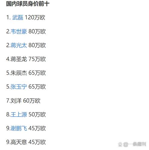 深扒武磊年薪多少欧元？与其他球员相比如何？