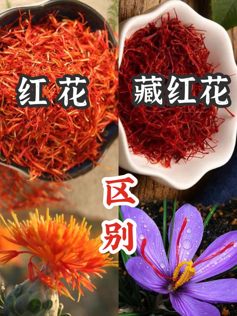 西红花多少钱一克？价格差别这么大？