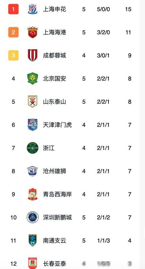 鲁能国安比赛比分，球迷都在关注什么？
