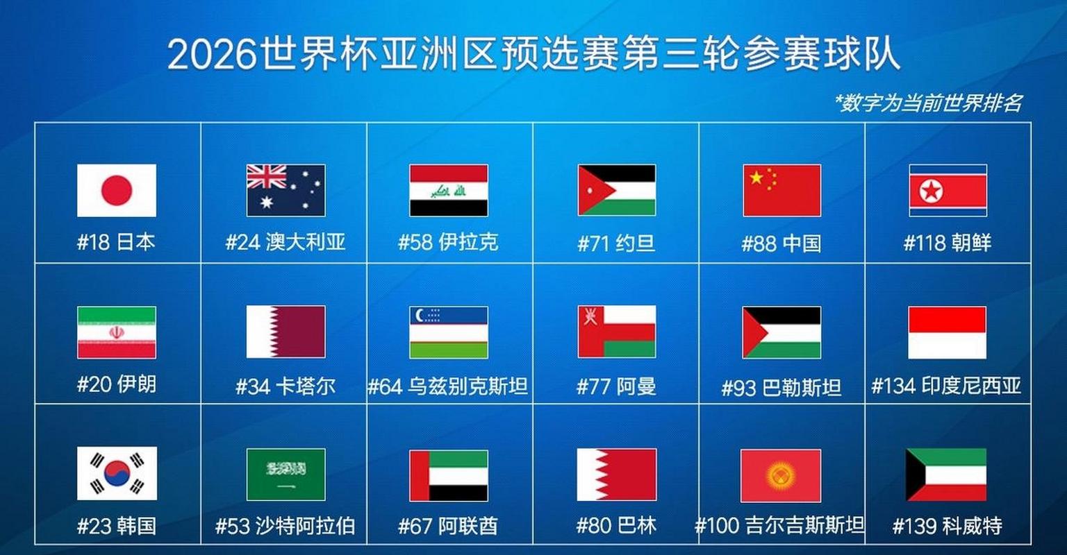 世界杯足球赛有多少支球队参加？你了解世界杯的参赛球队数量吗？