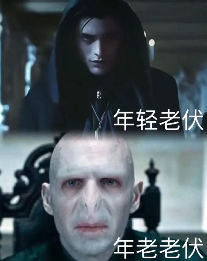 伏地魔真的喜欢莉莉吗？深度解读伏地魔心理