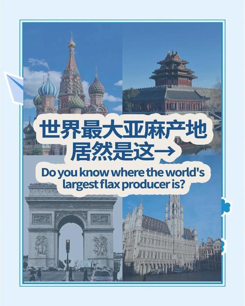比利时和中国是友好国家吗？看看他们的合作历程