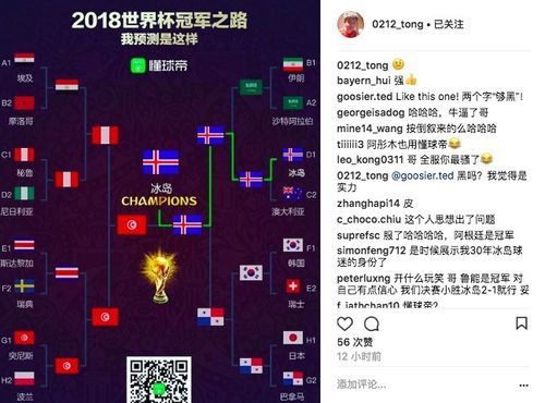 冰岛进入世界杯几强？揭秘冰岛世界杯战绩