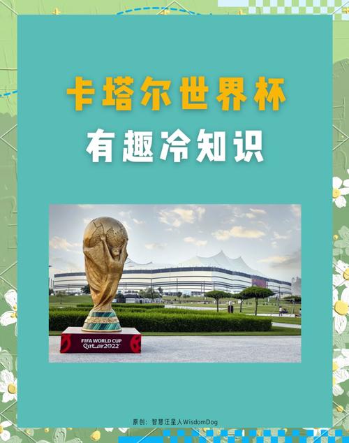 卡塔尔世界杯冷吗？球员都冻感冒了？真相竟是空调太强！