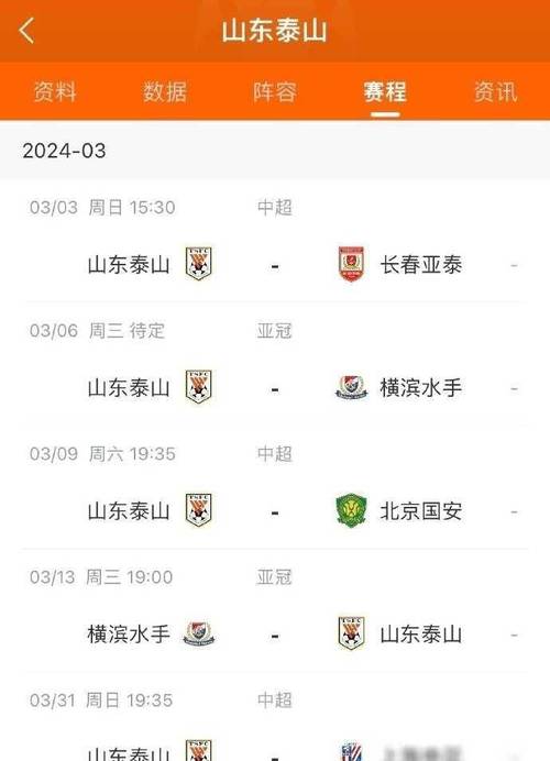 鲁能国安比赛比分，球迷都在关注什么？