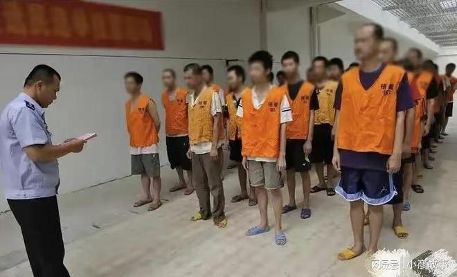 深入了解：看守所黄马甲犯人身份及相关罪行深度解析