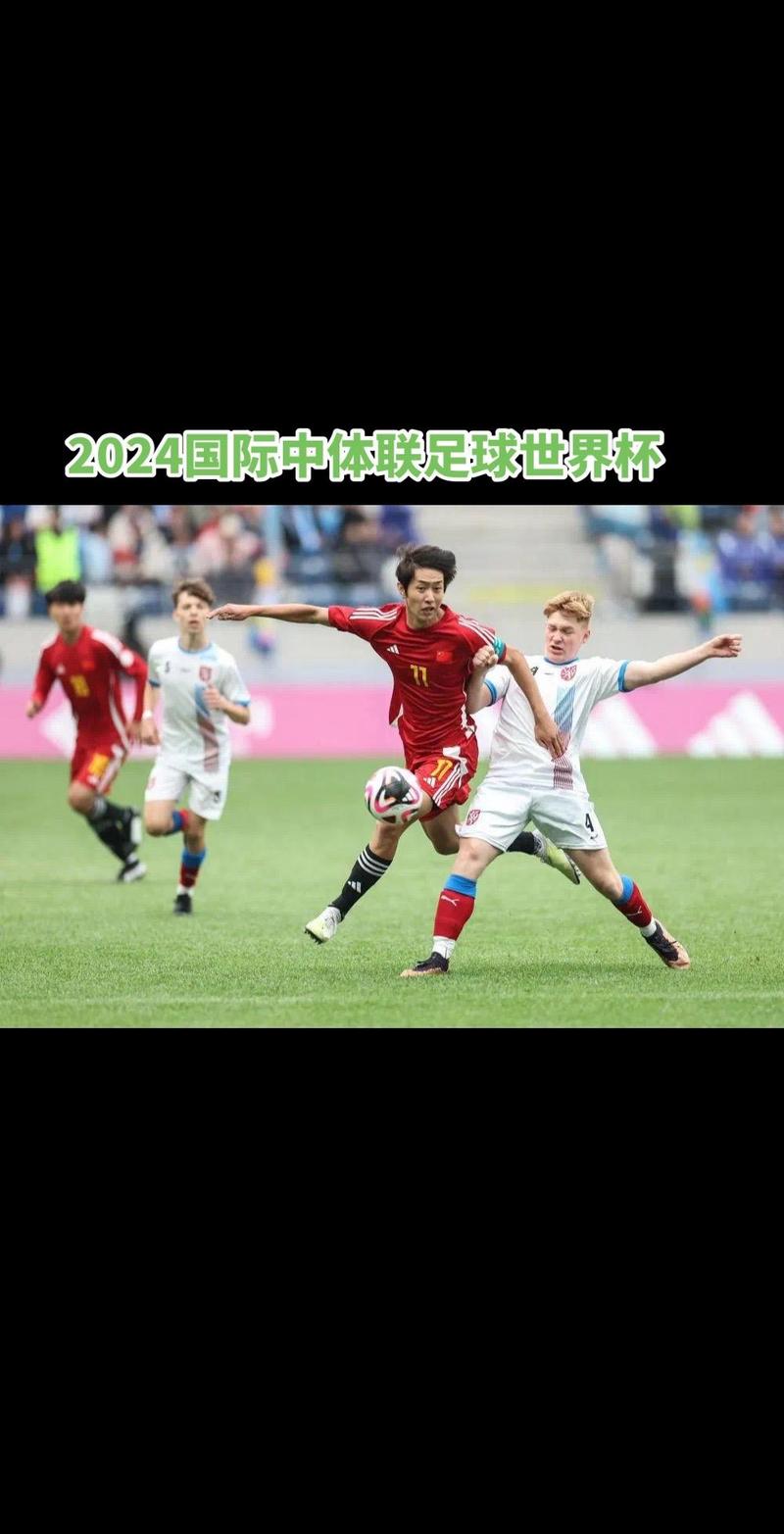 2024世界杯足球购买指南：渠道、价格及注意事项