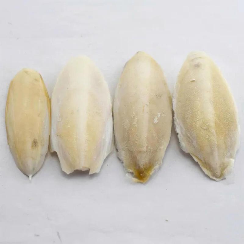 乌贼骨的别名有哪些？中药海螵蛸你了解吗？