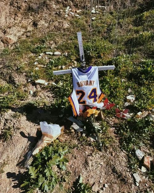 科比意外身亡？事故调查结果令人震惊！背后真相究竟是什么？