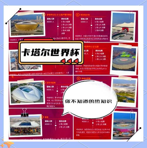 世界杯是由哪个国家或组织举办的？一文带你了解世界杯！