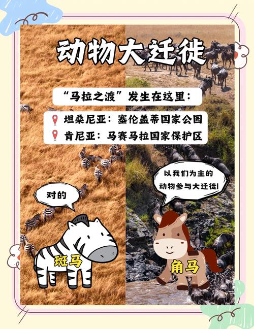 肯尼亚是哪个国家？探秘东非野生动物天堂
