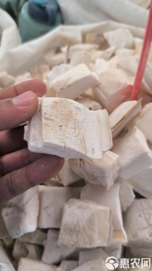 乌贼骨的别名有哪些？中药海螵蛸你了解吗？