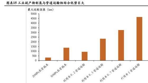 想了解上港集团股票？这篇深度分析告诉你答案！