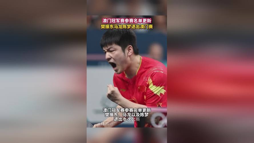 揭秘马龙樊振东比赛结果：究竟谁夺冠？