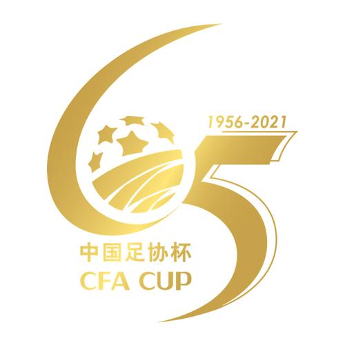 足协杯是什么意思？简单解读中国足协杯赛制及规则