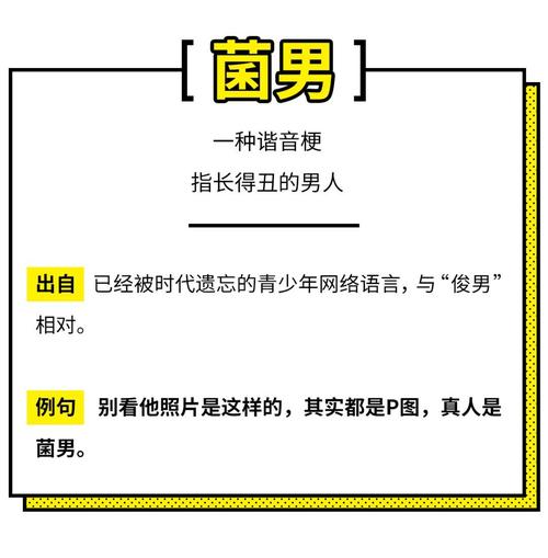 揭秘詹姆斯“野种”称呼的由来，网络争议背后的真相！