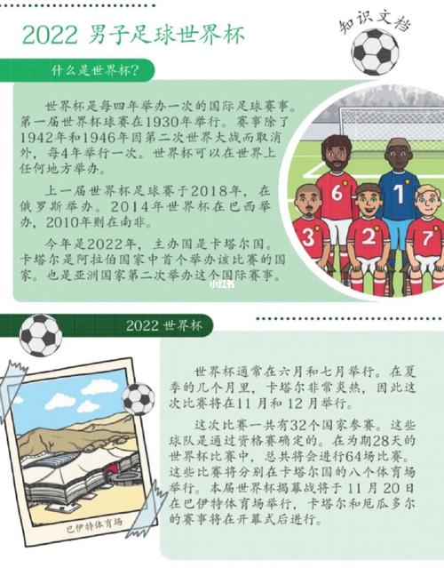 世界杯是由哪个国家或组织举办的？一文带你了解世界杯！