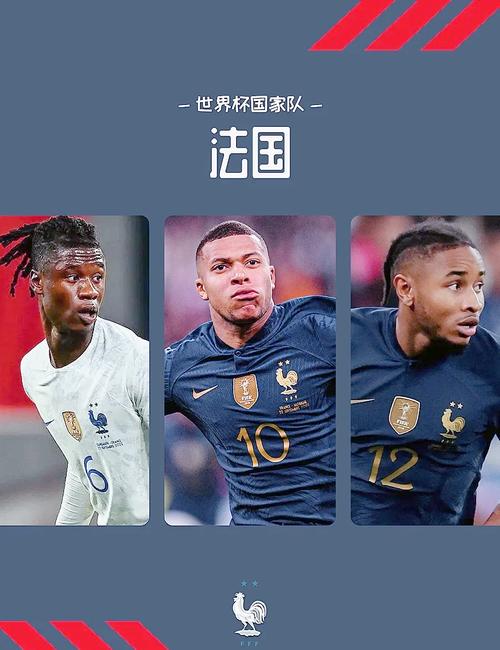 法国世界杯冠军次数是多少？两次捧杯的背后故事