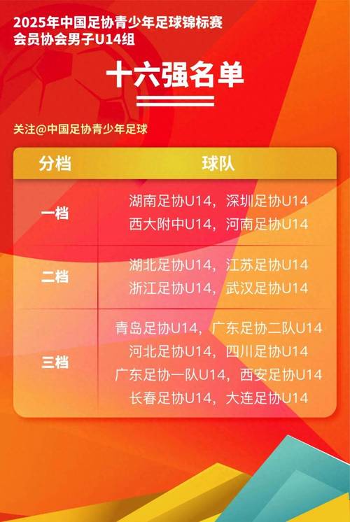 中国足球网官网怎样才能看直播？球迷必看攻略