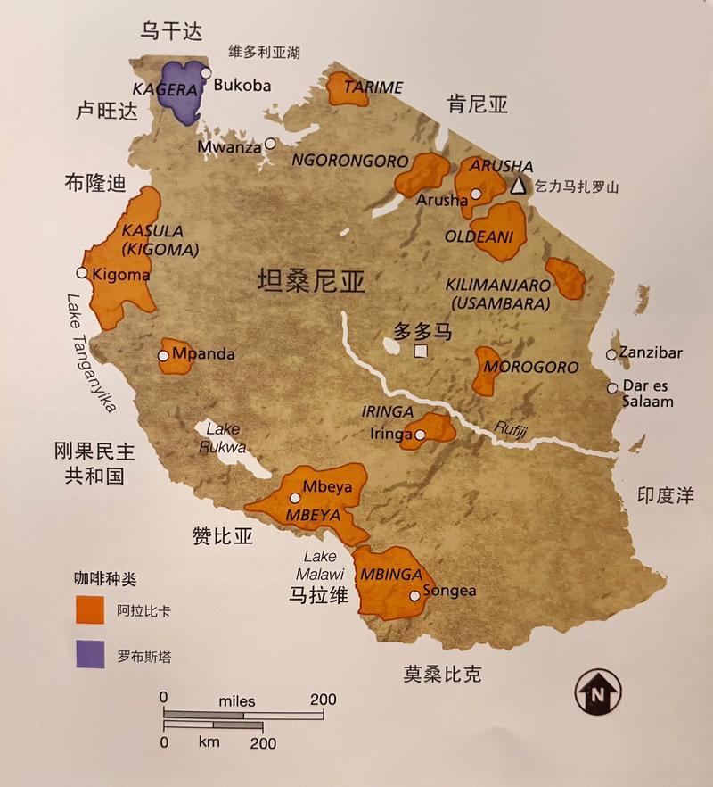 坦桑尼亚是哪个国家？一文读懂它的地理、文化和经济