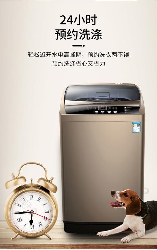 申花洗衣机：究竟是不是知名品牌？深度解析其市场地位