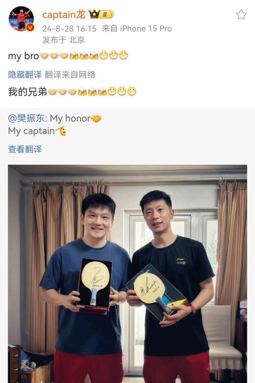 樊振东对战马龙胜负几回？揭秘两人交手记录