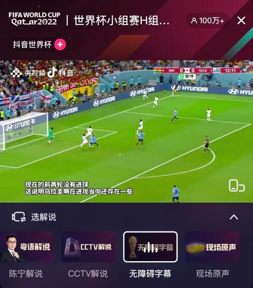 各平台世界杯观看方式大比拼，世界杯怎么看？
