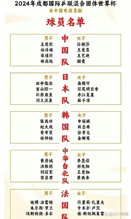 国乒一队成员都有谁？人数及构成分析，一文看懂