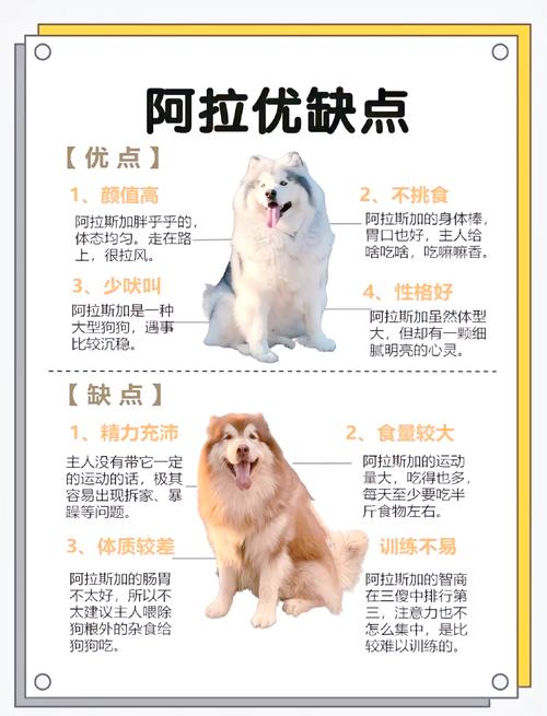 养阿拉斯加犬之前必看：阿拉斯加犬的体型和生长规律