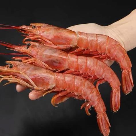想吃阿根廷红虾？虾头能不能吃？专家这样说