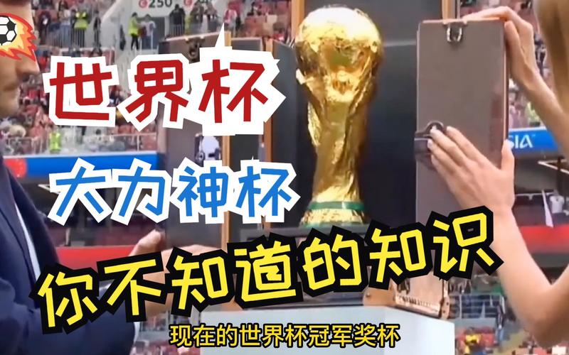 没有大力神杯？世界杯亚军到底有没有奖杯？