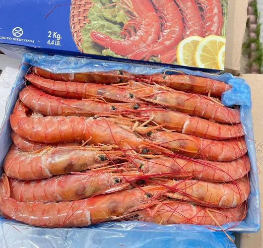 想吃阿根廷红虾？虾头能不能吃？专家这样说