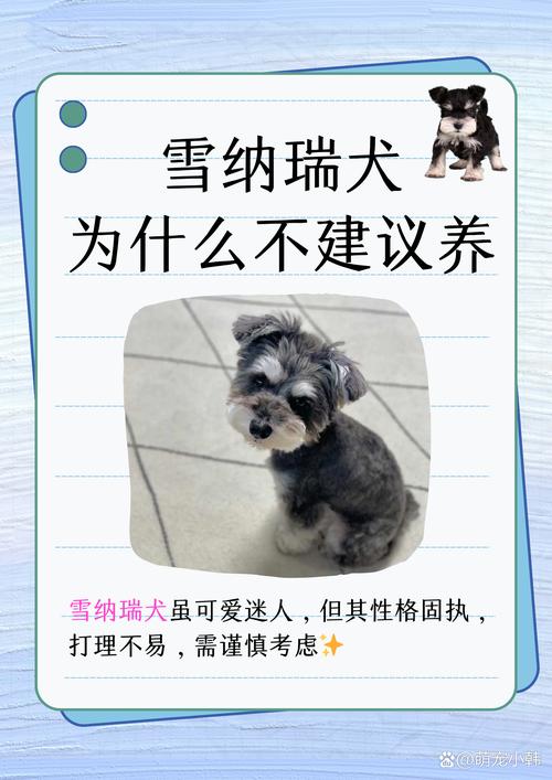 不建议养的10种狗：它们真的不适合你？