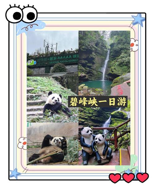 碧峰峡一日游攻略：玩转熊猫基地和峡谷风光最合理路线