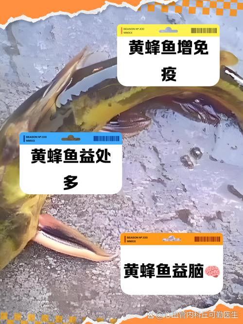 家常黄蜂鱼做法大全，新手也能轻松学会