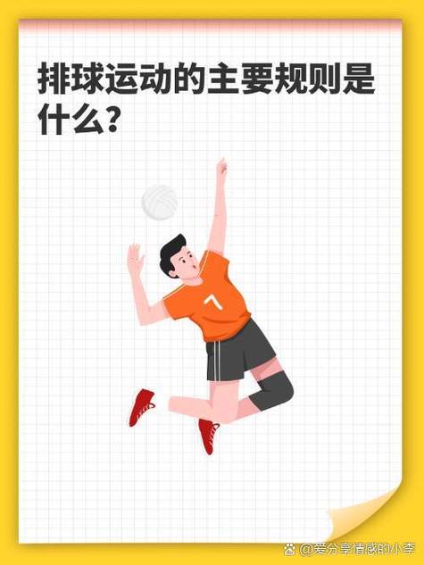 排球比赛：每队上场几个人？完整规则及人数说明