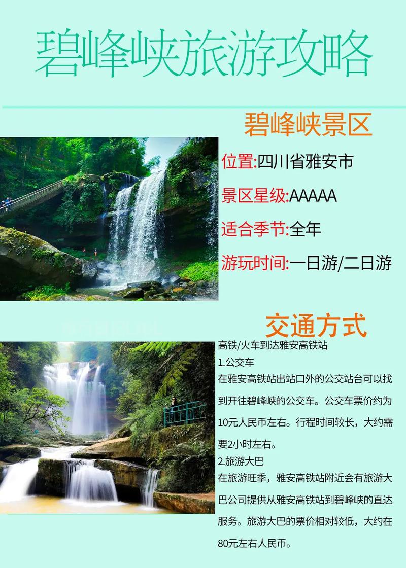碧峰峡一日游攻略：玩转熊猫基地和峡谷风光最合理路线