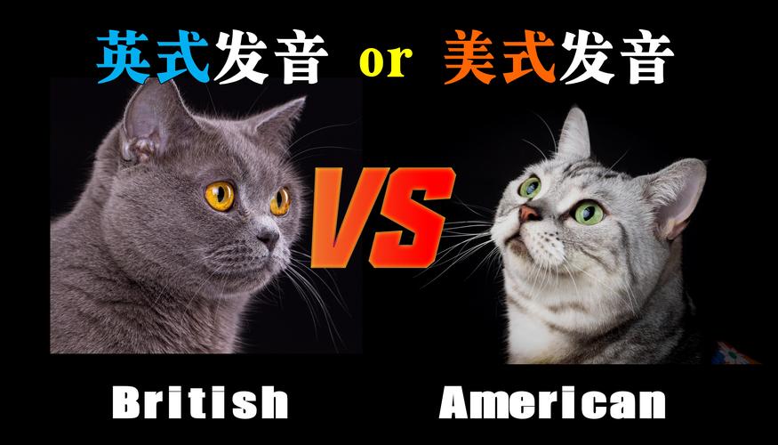 意大利英文读音指南：英式美式发音区别