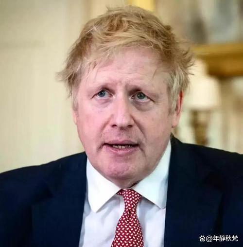 英国前首相约翰逊年龄多大？带你了解他的生平