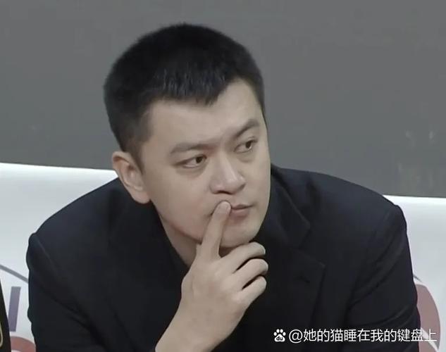 深入了解杨鸣19cm梗：真相远比你想象的精彩