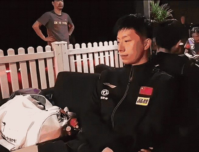 樊振东对战马龙胜负几回？揭秘两人交手记录
