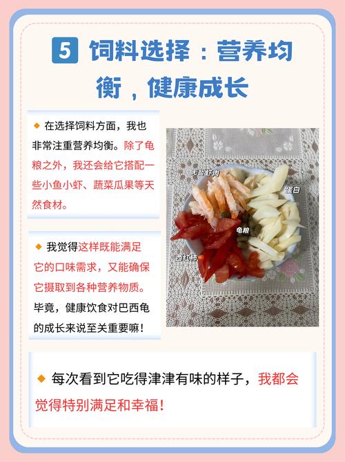 巴西龟喂养指南：吃什么长得快又健康？