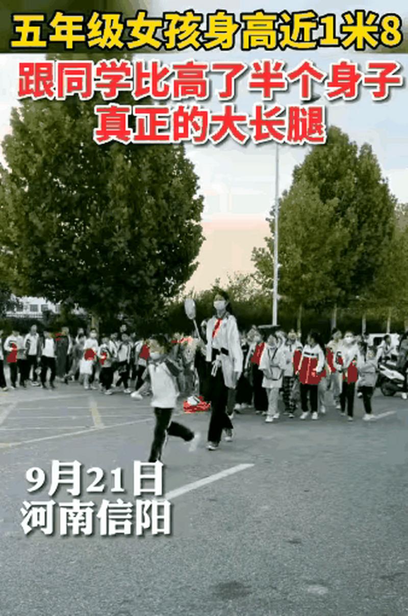 小前锋身高1米9几最好？专业人士告诉你答案